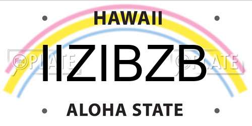 IIZIBZB Hawaii License Plate