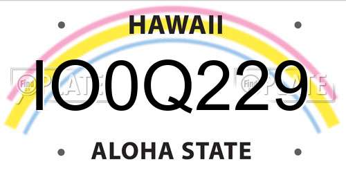 IO0Q229 Hawaii License Plate