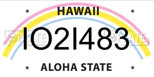 IO2I483 Hawaii License Plate