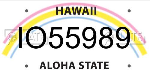 IO55989 Hawaii License Plate
