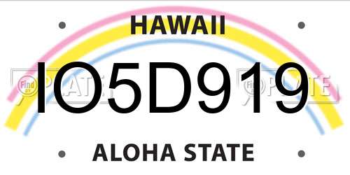 IO5D919 Hawaii License Plate