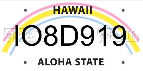 IO8D919 Hawaii License Plate
