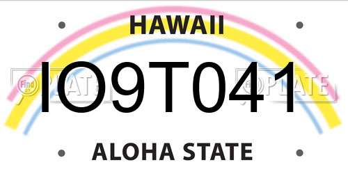 IO9T041 Hawaii License Plate