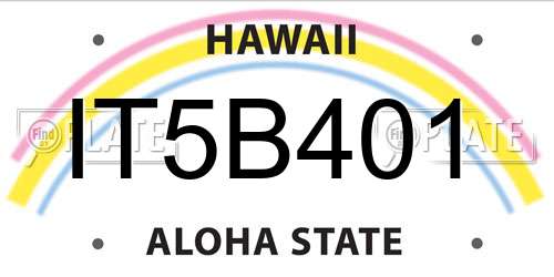 IT5B401 Hawaii License Plate