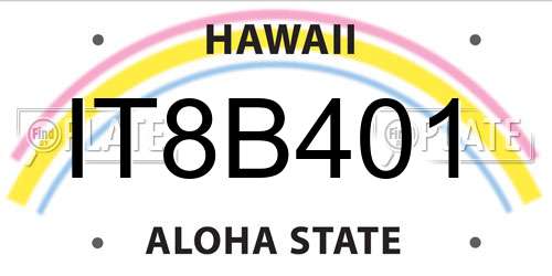 IT8B401 Hawaii License Plate