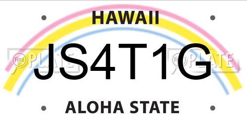 JS4T1G Hawaii License Plate