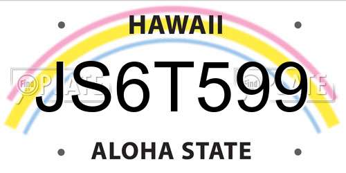 JS6T599 Hawaii License Plate
