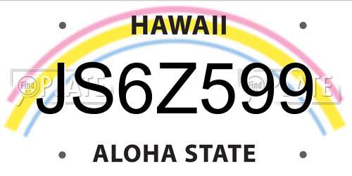JS6Z599 Hawaii License Plate