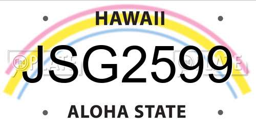 JSG2599 Hawaii License Plate