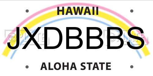 JXDBBBS Hawaii License Plate