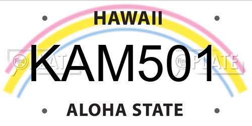 KAM501 Hawaii License Plate