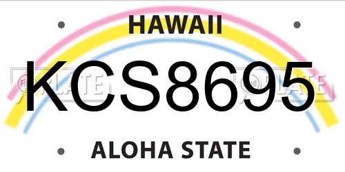 KCS8695 Hawaii License Plate