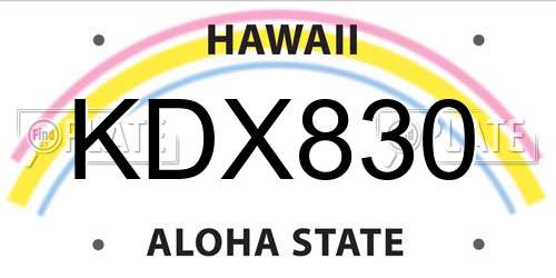 KDX830 Hawaii License Plate