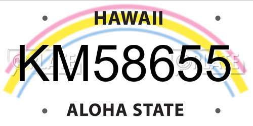 KM58655 Hawaii License Plate