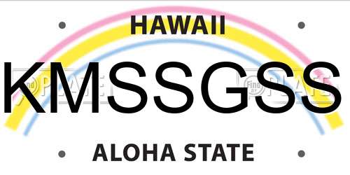 KMSSGSS Hawaii License Plate