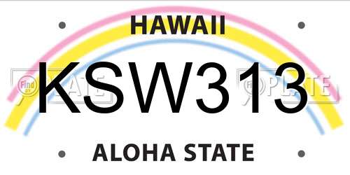 KSW313 Hawaii License Plate