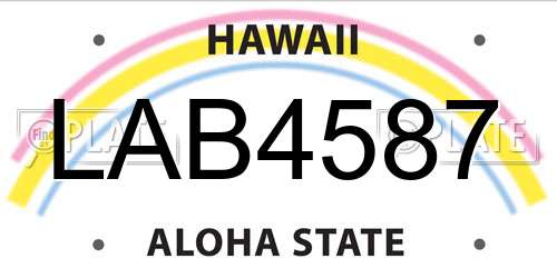 LAB4587 Hawaii License Plate