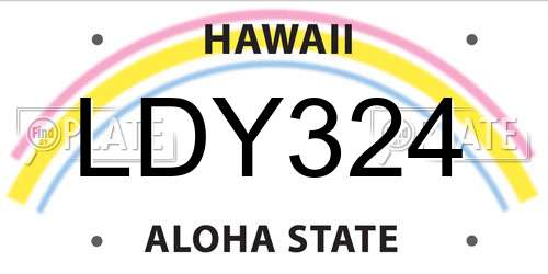 LDY324 Hawaii License Plate