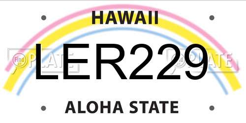 LER229 Hawaii License Plate