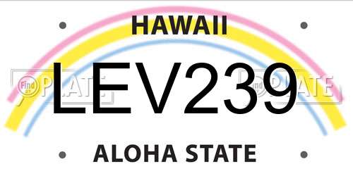 LEV239 Hawaii License Plate