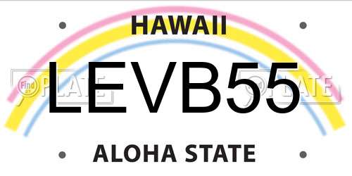 LEVB55 Hawaii License Plate