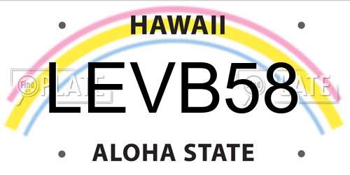 LEVB58 Hawaii License Plate
