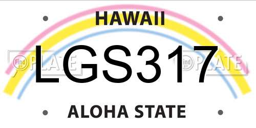 LGS317 Hawaii License Plate