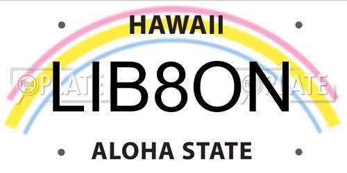 LIB8ON Hawaii License Plate