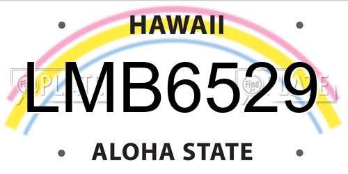 LMB6529 Hawaii License Plate