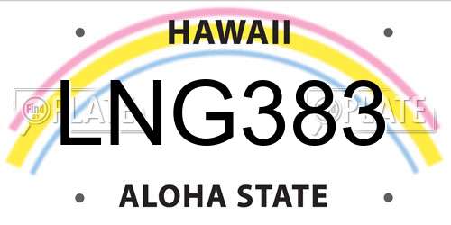 LNG383 Hawaii License Plate