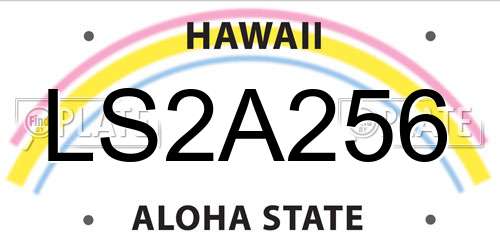 LS2A256 Hawaii License Plate
