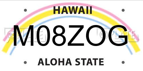 M08ZOG Hawaii License Plate