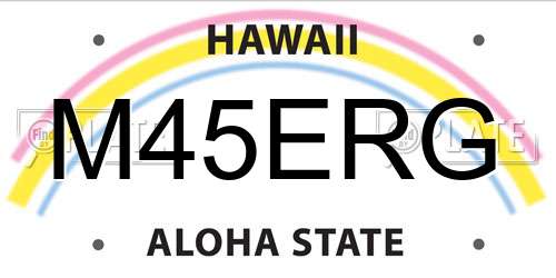 M45ERG Hawaii License Plate