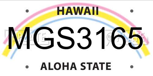 MGS3165 Hawaii License Plate