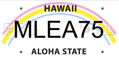 MLEA75 Hawaii License Plate