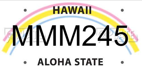MMM245 Hawaii License Plate