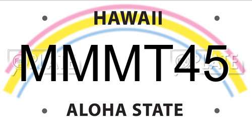 MMMT45 Hawaii License Plate