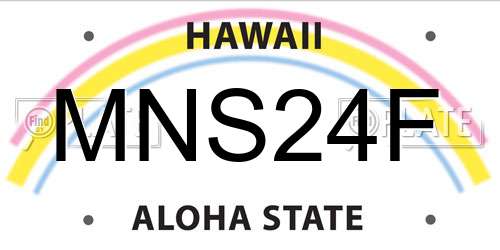 MNS24F Hawaii License Plate