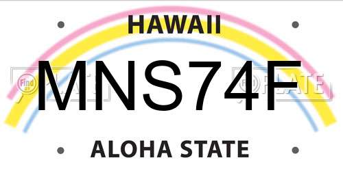 MNS74F Hawaii License Plate