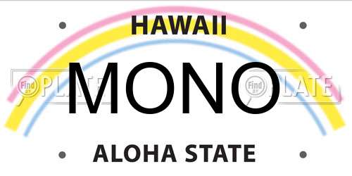 MONO Hawaii License Plate