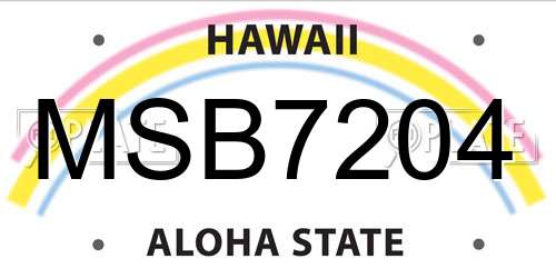 MSB7204 Hawaii License Plate