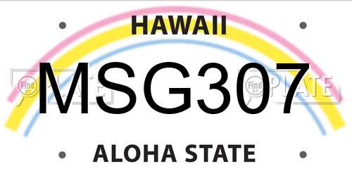 MSG307 Hawaii License Plate