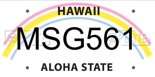 MSG561 Hawaii License Plate