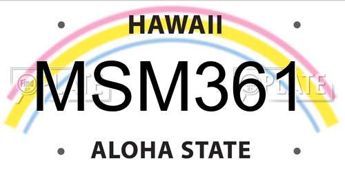 MSM361 Hawaii License Plate