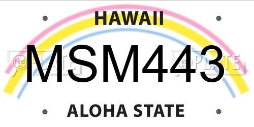 MSM443 Hawaii License Plate