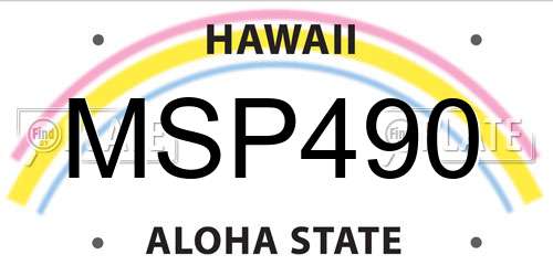 MSP490 Hawaii License Plate
