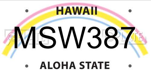 MSW387 Hawaii License Plate
