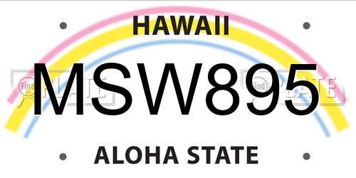 MSW895 Hawaii License Plate