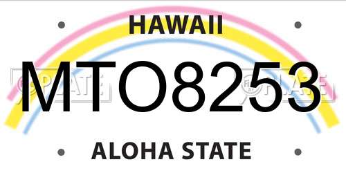 MTO8253 Hawaii License Plate