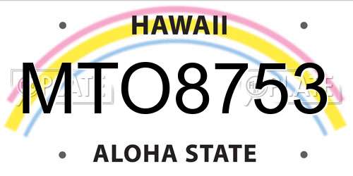 MTO8753 Hawaii License Plate